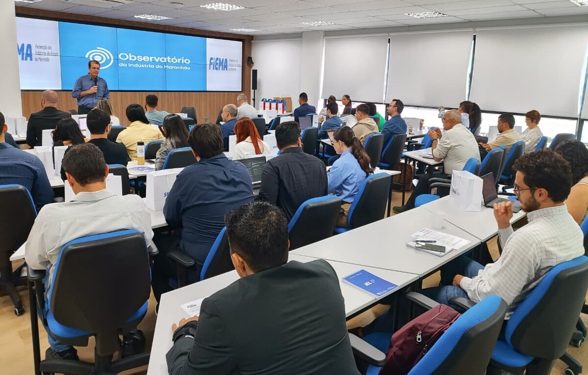 Observatório da Indústria do MA sedia 5º Workshop de Inteligência da Rede de Observatórios